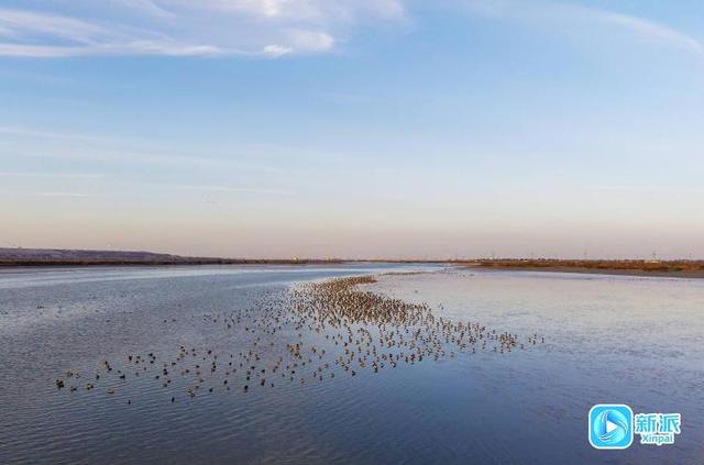 在冬日的潍坊海边，邂逅绝美画卷～