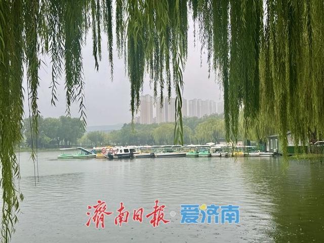 一场秋雨 满园云雾