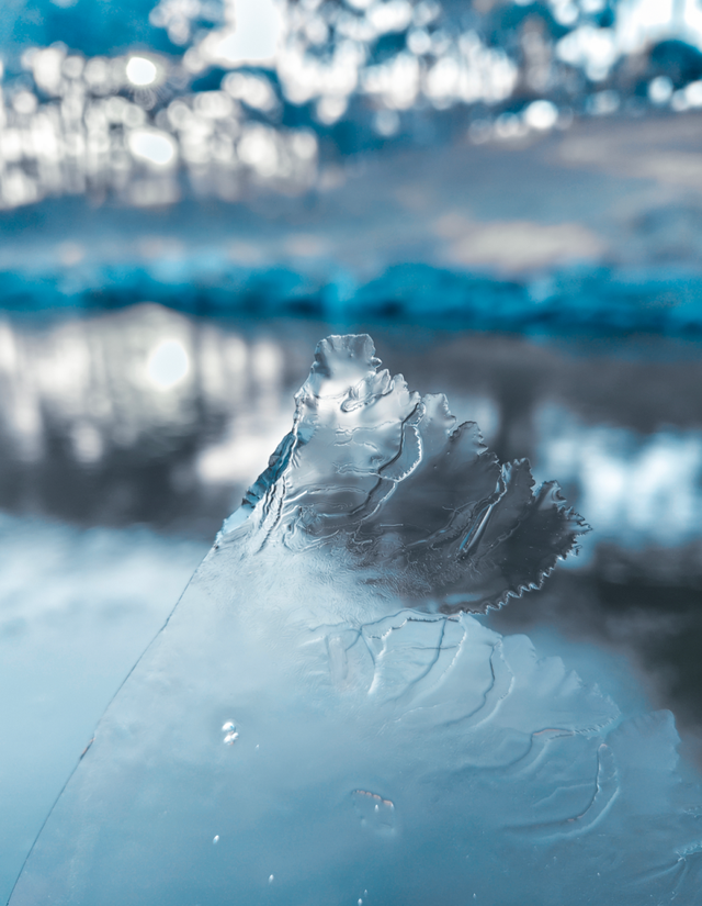 动静皆是景！踏进圆明园的冬日画卷