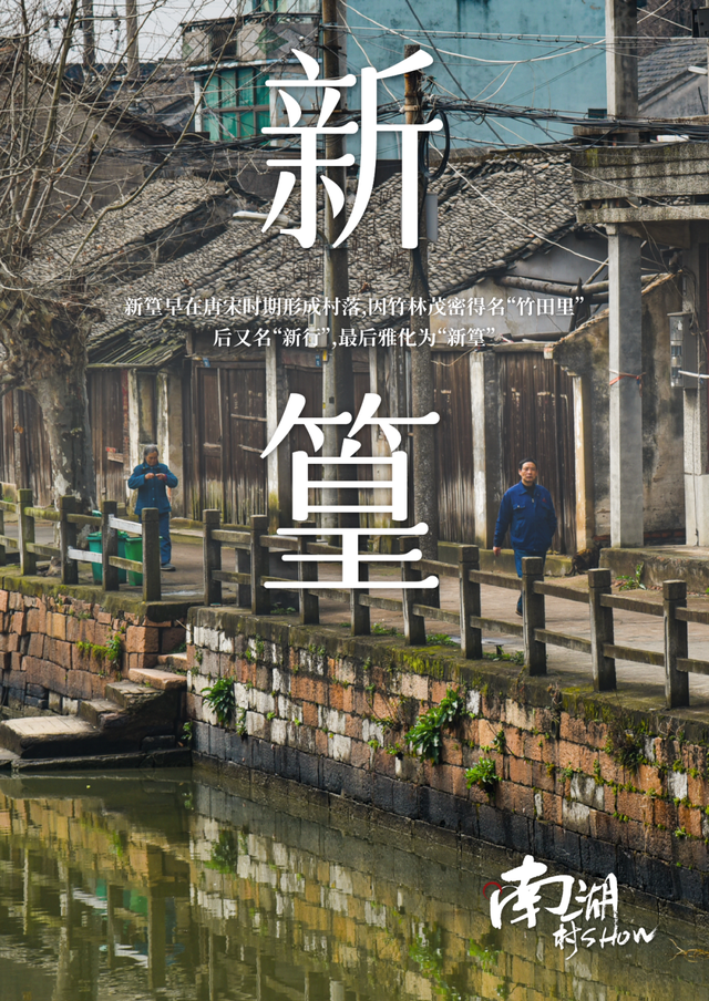 南湖·村show丨竹韵新篁