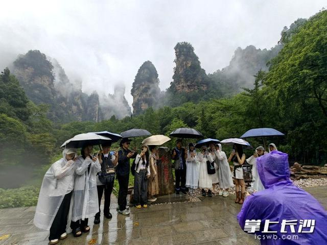 张家界重庆对开始发“周末高铁”，重庆网络达人探秘张家界