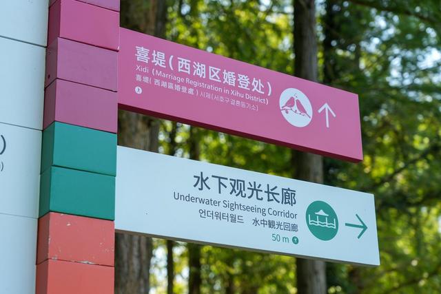 16块科普牌解锁生态密码 西溪湿地水下长廊焕新迎客