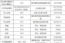武汉市民之家最新公告：周六这些窗口将提供延时服务图片