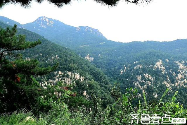 秀山东丨新泰:风景如画，如诗如梦