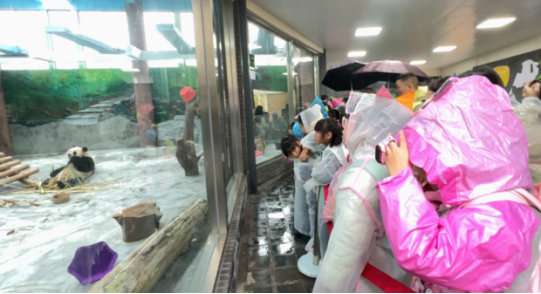 集中徒步、景区研学、免费托管……四川宜宾学生“花式”度过首个秋假