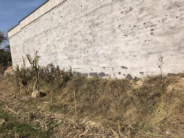 “一家五口被邻居杀害案”被告人提起上诉 死者家属：他案发前两个月就买好了剔骨刀