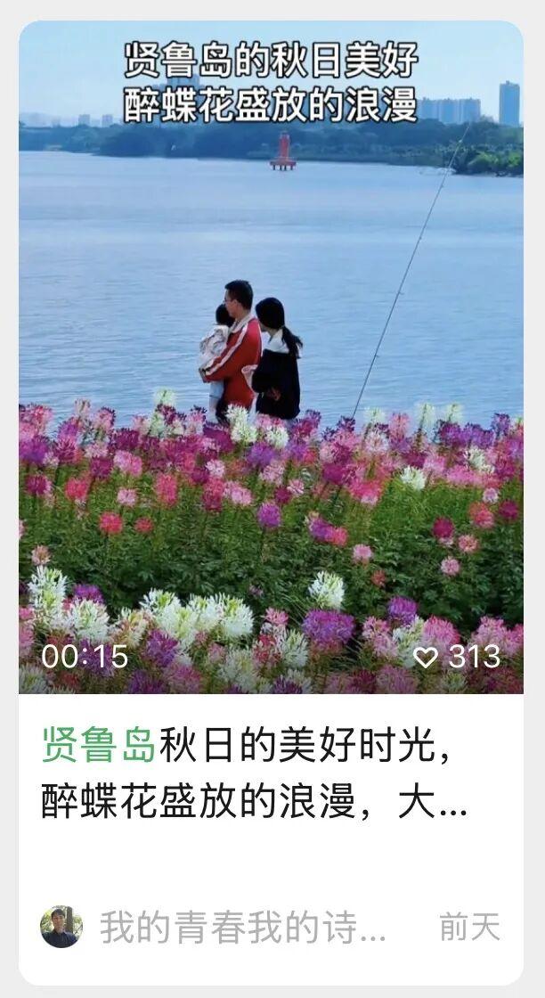 全网爆火！被里水这座浪漫岛屿惊艳到了！游玩攻略→