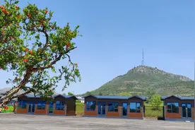 从贫困村到国家级生态示范村，小小石榴成为百姓的“致富果”图片