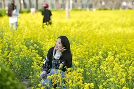 高校恢复开放 邀市民共赏油菜花海图片
