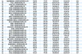 “中国保险业竞争力研究报告（2024）”发布（一）：中国人寿、平安人寿、太保寿险位列前三，中小公司差异化突围图片