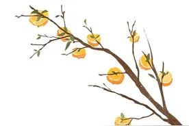 今日秋分，太阳直射到了哪呢？图片