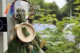 传统习俗有了新玩法！上百元的新式艾草门挂成“爆款”，你会买吗？图片