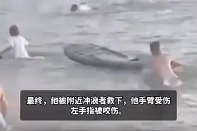 日本男子遭一头“性受挫”海豚袭击：为寻求“替代陪伴”因而出现异常行为图片