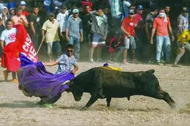 哥伦比亚斗牛节：“与死亡共舞”图片
