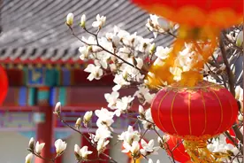 春日迟迟，春景熙熙图片