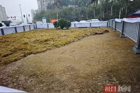 小孩放鞭炮引起沼气爆燃致8车受损，现场坑洞已填平，受损车主称“生活还得继续”图片