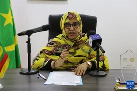 专访丨中非绿色合作播种非洲“绿色长城”的未来——访毛里塔尼亚环境部长拉格达夫图片