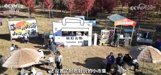 神州大地铺展层林尽染美丽画卷 “赏叶经济”激发多元消费业态新活力