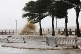 风王“桦加沙”巨灾预警！这些曾经带来重创的台风被除名图片