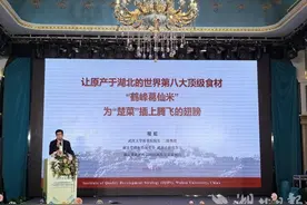 首届“鹤峰葛仙米”产业发展专题研讨暨品鉴会在武汉成功举办图片