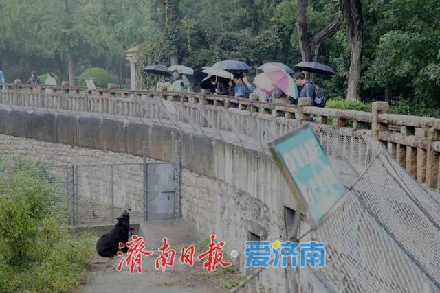 一年四季 泉在济南丨雨中秋色别样好 公园景区别有一番动人韵味