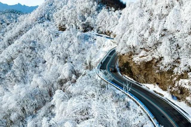 洛阳的第一场雪，来了！