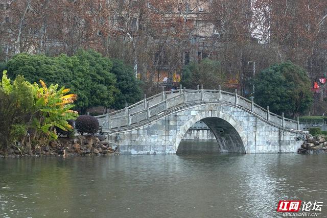 组图丨大寒日，去株洲文化园收集春天的预告片