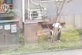 很多人还不知道！上海一居民砍掉自己在小区种的树，或面临成倍处罚图片