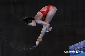广东第四金！全红婵成功卫冕女子10米跳台金牌，陈芋汐摘银图片
