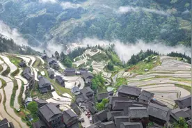 老贵老贵山水顶配！贵州梯田美成“大地指纹”，随手一拍都是大片图片