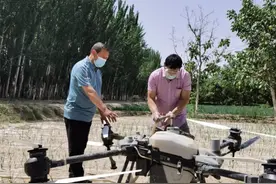 无人机作业防治病虫害 助力核桃产业丰产丰收图片