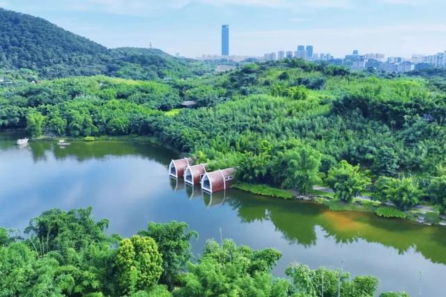 免费！优惠！明天来南宁，过重阳不“重”样！