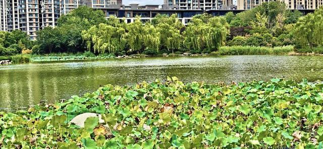 碧波荡漾 水景宜人
