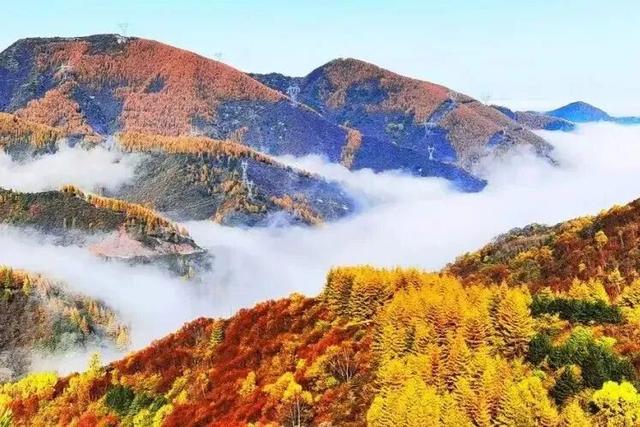 人这一辈子，一定要来宁夏见证“籽籽同心”的力量！