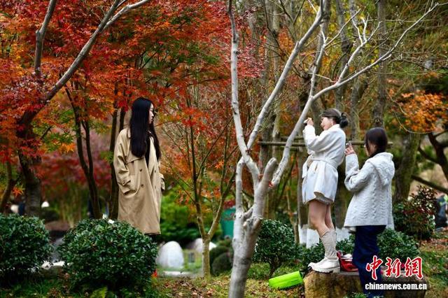 福建福州：乡村美丽冬景引游人