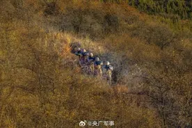 帅！武警特战队员密林深处训练大片图片