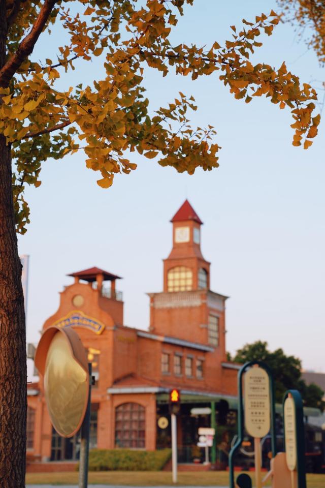 生态科技新城冬日色彩：满城尽染“银杏黄”