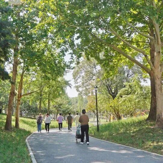 北京朝阳：全龄友好公园+1！
