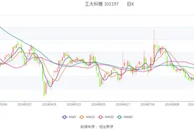 工大科雅：2024年上半年亏损447.25万元图片