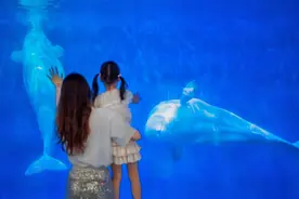 儿童免票，欧乐堡度假区“盛夏童玩节”来了，0元Go！图片