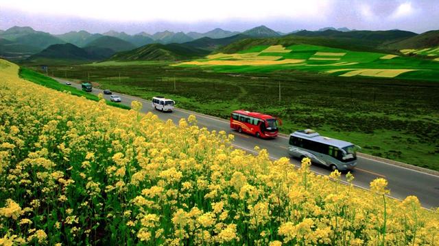 【国庆专栏】沿着公路浪秋景：青海秋日自驾路书