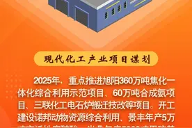 清水河县“六个行动”动起来——“重大项目谋划行动”图片