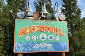 超前探营！上海迪士尼“疯狂动物城”海量细节大剧透！第一视角体验→图片