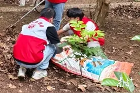 灭蚊+发倡议，三水白坭打响登革热防控“歼灭战”图片