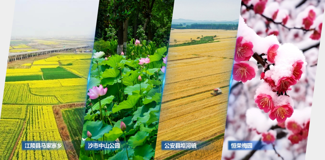 你好！这里是荆州