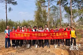 望埠镇：党群共植同心树 建设绿美新家园图片