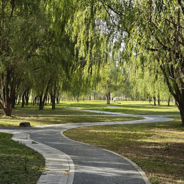 遇见丨开福·逛三园：我在「鸭嘴公园」好快乐鸭！