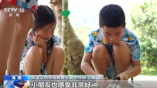 研学游持续升温 走进“绿色课堂”来一场沉浸式自然探索吧