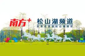 松山湖一女子骑车摔倒头部出血，危急时刻......图片