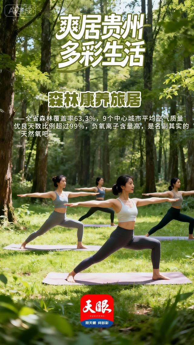 【AI海报】今天，我们邀您“爽居贵州”！